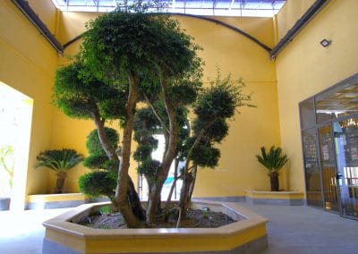 YUKI SUSHI TRAPANI LOCATION APRILE 2025 34